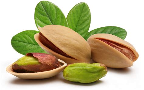 Pistachio .